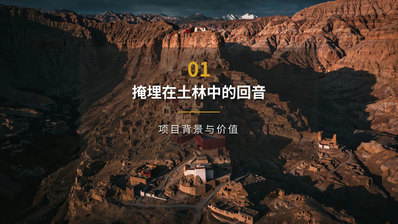演示文稿第 3 页：01 掩埋在土林中的回音，项目背景与价值